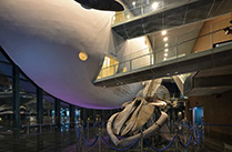 �{�ݎʐ^�F���֎s�������̂��������فu�C���فv