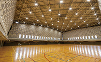 �{���w ��a�L�����p�X �A���[�i�E�u��