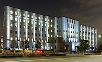 ���{���� �{�� ���C�g�A�b�v